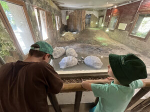 Photo from trip About us