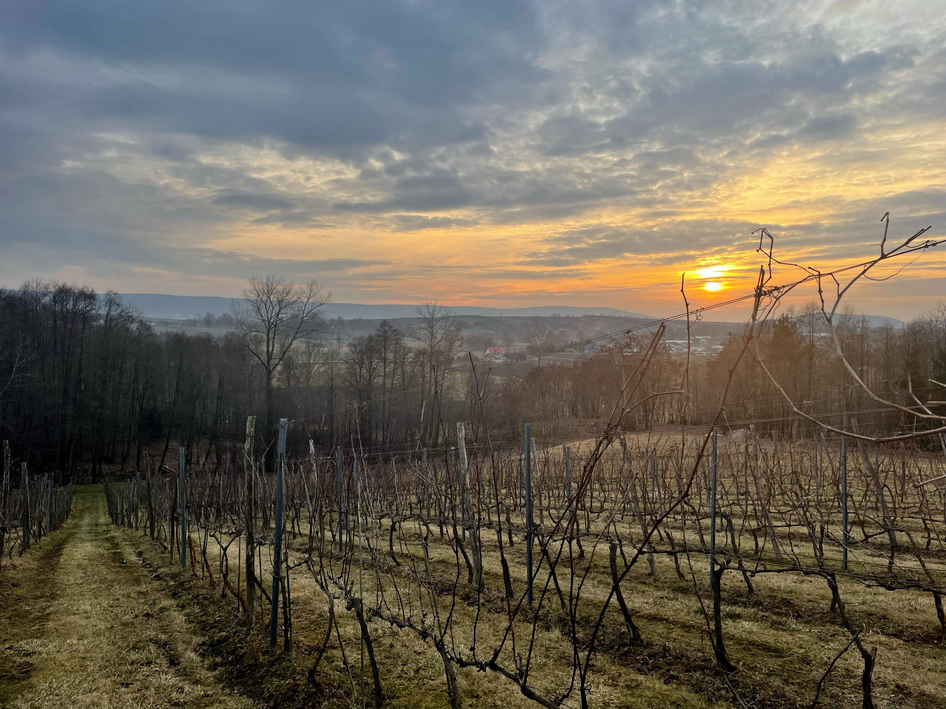 Świętokrzyskie Mountains