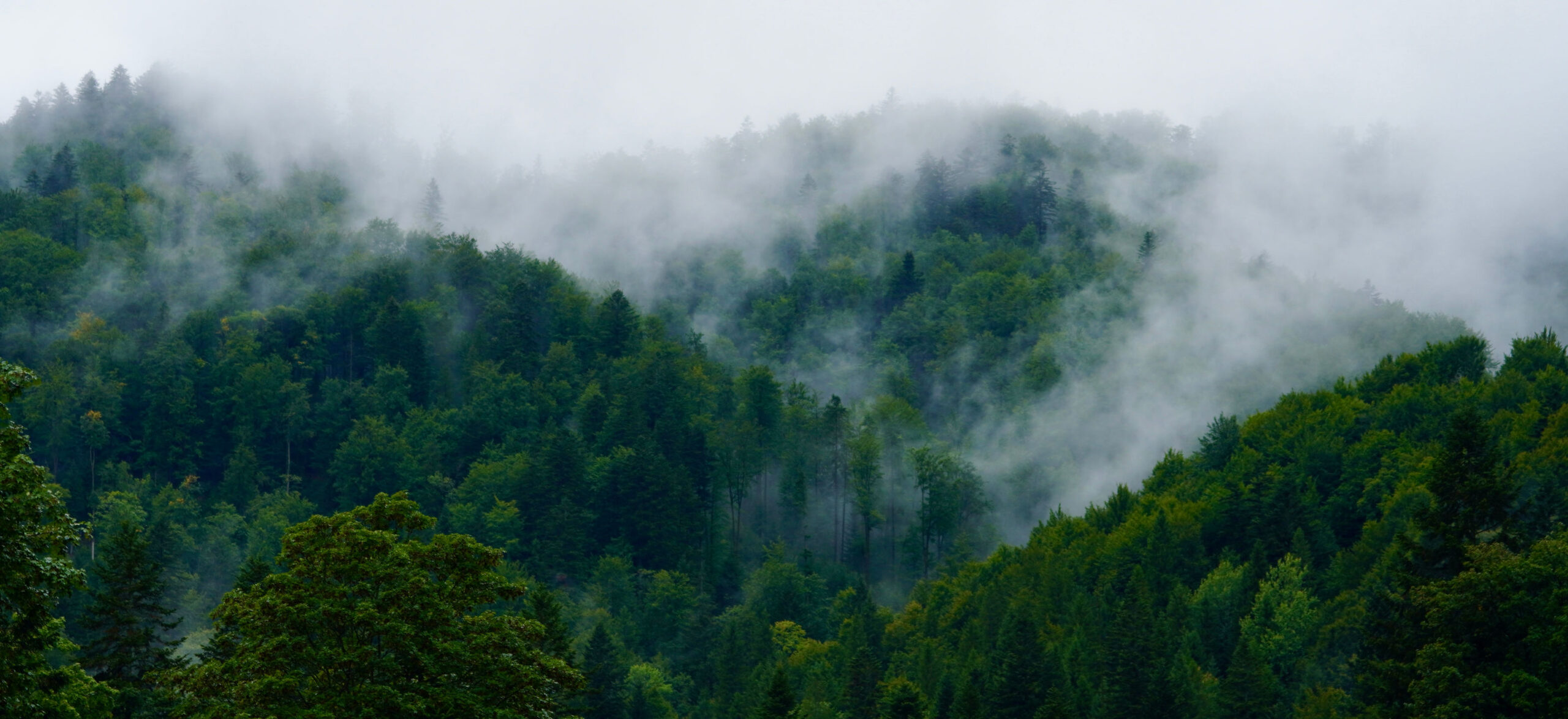 Bieszczady