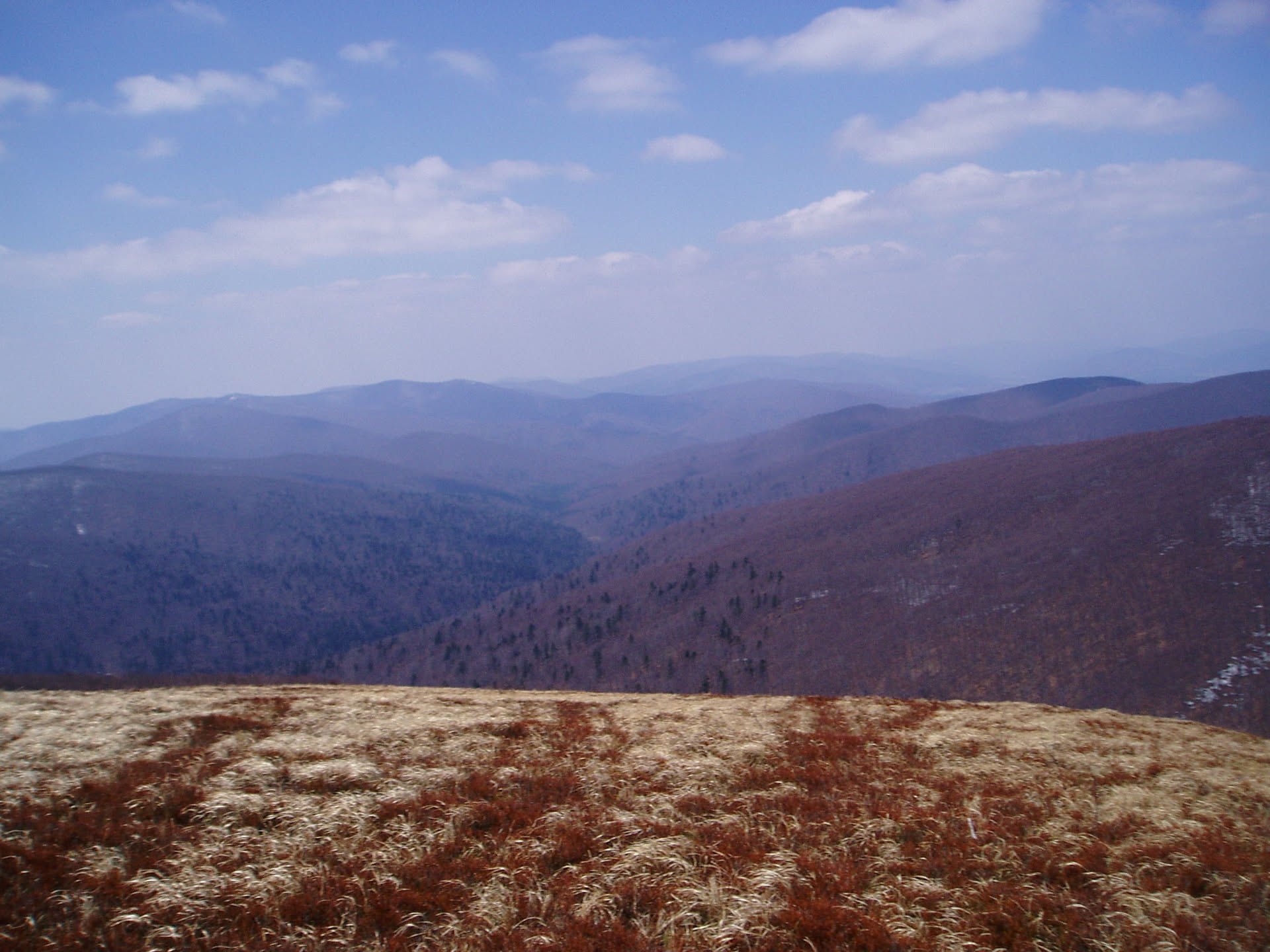 Bieszczady 2005
