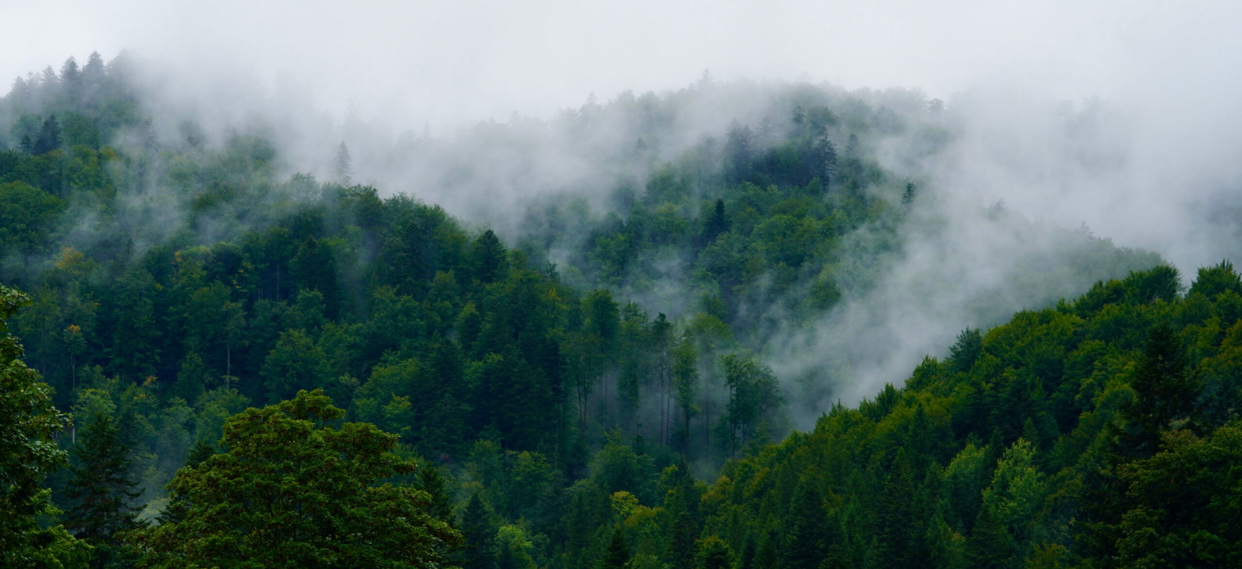 Bieszczady